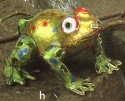 Frogs